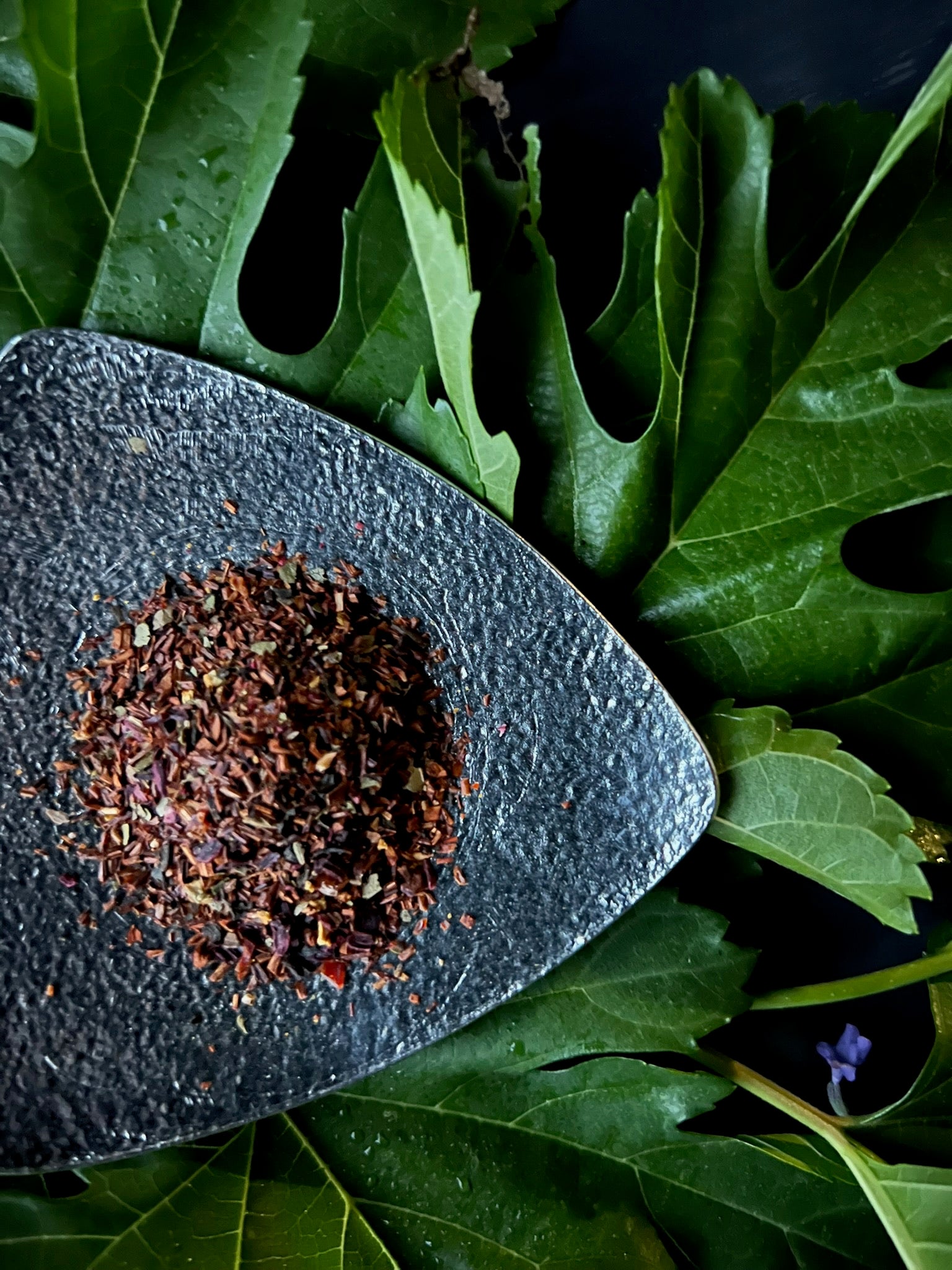 Bōtapia Aging Care Tea