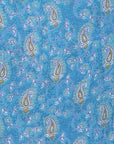 Satari Saree Dress